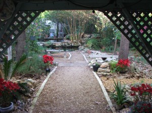 Path to the ponds